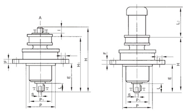 L1 (D) type vertical Double-stage reducer 